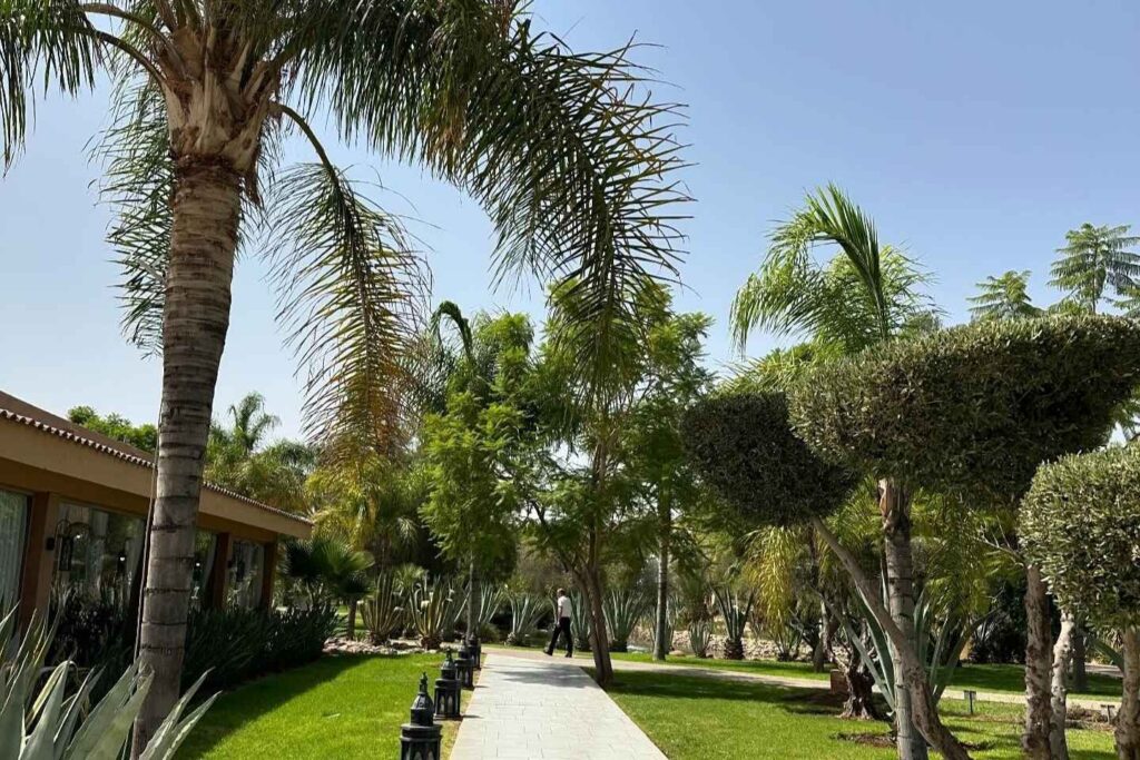 Peaceful garden walkway with palm trees in Palmeraie, a top area to stay in Marrakech for resort-style luxury